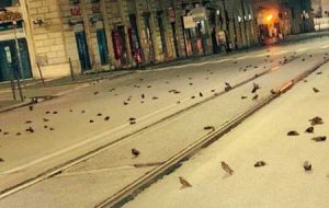 آتش‌بازیِ سال نو، جان صد‌ها پرنده در رم را گرفت