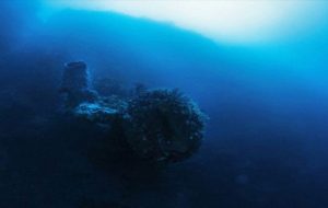 ادعای کشف کشتی فرازمینی‌ها در مثلث برمودا
