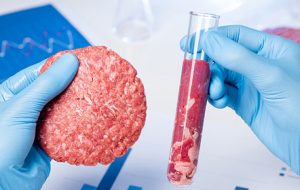 استارت‌آپ‌هایی که گوشت مصنوعی تولید می‌کنند