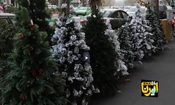 بازار داغ درخت‌‌های چند میلیونیِ کاجِ کریسمس