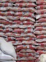 آخرین قیمت برنج در بازار /گران ترین برنج کیلویی ۴٠ هزار تومان