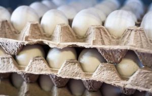 قیمت جدید تخم‌مرغ اعلام شد/ عرضه اینترنتی تخم‌مرغ تا کی ادامه دارد؟