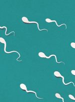 تقویت اسپرم با راه‌های طبیعی و راحت