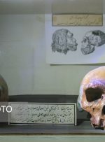 جای خالی موزه‌ای درباره اپیدمی‌ها
