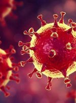 سویه جدید ویروس کرونا در نیجریه شناسایی شد/ ترکیب این ویروس با دلتا یک فاجعه ایجاد می‌کند