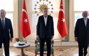 توئیت ظریف درباره دیدار با اردوغان:هم‌افزایی، تنها راه احیای ثبات در منطقه است/عکس