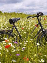 راهنمای خرید دوچرخه، برای گشت‌و‌گذار بهاری