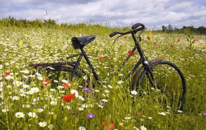 راهنمای خرید دوچرخه، برای گشت‌و‌گذار بهاری