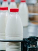 تعیین نرخ جدید شیرخام به بعد از انتخابات موکول شد
