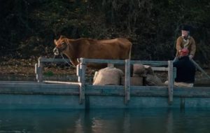 «نخستین گاو» را ببینید – خبرآنلاین