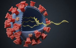 ترفندهای تازه ویروس هفت خط کرونا برای فریب سیستم ایمنی بدن