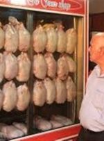 چرا مرغ گران شد؟ – خبرآنلاین