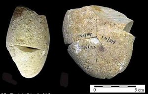 کشف قدیمی‌ترین ابزار ‌بشر