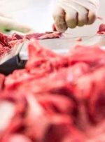 چهار عامل گرانی ‌گوشت قرمز/ ‌وزارت جهاد بابت توزیع گوشت گرم وارداتی‌ تعلل می‌کند
