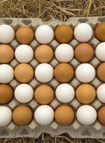 باورهای غلط درباره‌ی تخم‌مرغ که لازم است بدانید