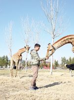 زرافه‌ها و ۹۰۰ جانور نادر در حوالی تهران