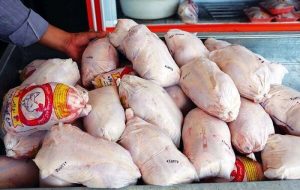 سازمان حمایت: قیمت مصوب مرغ۲۰ هزار و ۴۰۰ تومان 