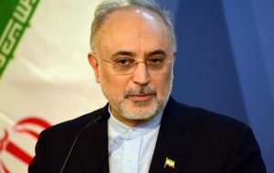 صالحی:دستاوردهای ایران دنیا را زیر و رو خواهد کرد