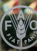 فائو :‌ افزایش 4.3درصدی قیمت مواد غذایی در جهان