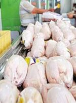 آغاز روند کاهش قیمت مرغ در بازار/ احتمال سودجویی‌های کاذب در ایام‌پایانی سال