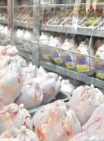 قیمت منطقی مرغ چقدر است؟