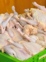 مرغ دوباره گران شد – خبرآنلاین