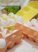 اعلام قیمت تخم مرغ شناسنامه دار بسته بندی شده