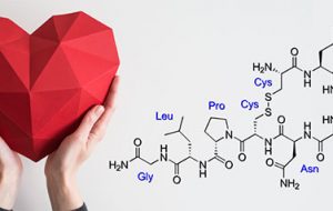 هورمون اکسی‌توسین و ارتباط آن با شیردهی و ارگاسم