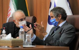 گروسی با صالحی دیدار کرد