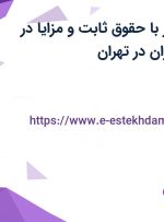 استخدام ویزیتور با حقوق ثابت و مزایا در شرکت تهران بوران در تهران