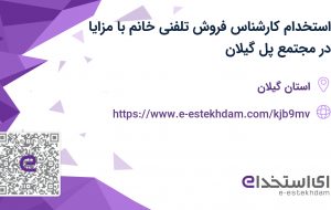 استخدام کارشناس فروش تلفنی خانم با مزایا در مجتمع پل گیلان