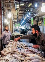 افزایش مصرف ماهی به دلیل گرانی گوشت قرمز / تقاضای خرید ماهی شب عید 10درصد بالا رفت 