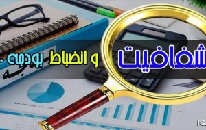 الزام دولت به شفافیت و انضباط مالی در ۱۴۰۰ / تکلیف شرکت های دولتی به ثبت اطلاعات در سامانه «پاکنا» ​​​​​​​