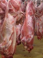 فروش قسطی گوشت واقعیت دارد؟