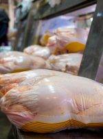 قیمت جدید مرغ را ببینید/ فروش مرغ عمده زیر نرخ مصوب