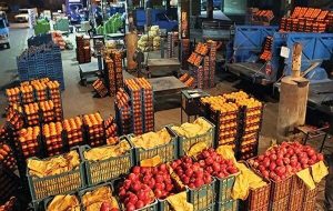 موافقت با واردات میوه/صادرات سیب و پرتقال فعلا ممنوع!