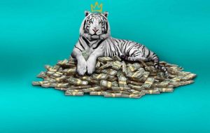 نقد فیلم The White Tiger – او را زاغه نشین صدا نکنید