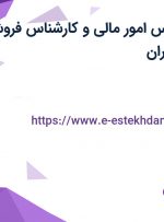 استخدام کارشناس امور مالی و کارشناس فروش و بازاریابی در تهران