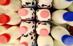 شیر گران خواهد شد؟ – خبرآنلاین