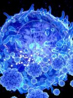 شناسایی ویروس کرونا با “جهش دوگانه” در ایالات متحده