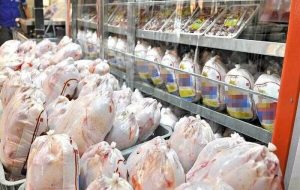 وزیر جهاد کشاورزی : آرامش در بازار مرغ با وجود کاهش عرضه 