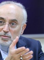 صالحی از جزئیات برنامه ایران برای تولید برق هسته‌ای گفت