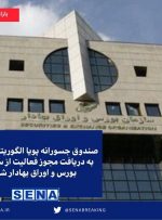 صندوق جسورانه پویا الگوریتم مجوز فعالیت گرفت