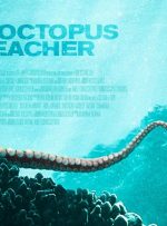 نگاهی به مستند My Octopus Teacher – نامه‌ای عاشقانه به دامان طبیعت