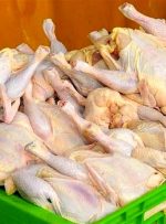 پیش بینی وضعیت بازار مرغ در روزهای آینده