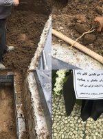 کشف سفال در قبر در حال حفر «کابلی»
