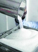 قیمت جدید شکر اعلام شد/ کاهش عرضه شکر در فروشگاه‌ها