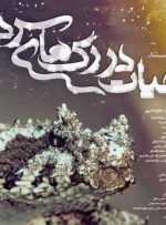 «حیات در رگ‌های سرد»، روایت زندگی اسرارآمیز خزندگان غرب ایران