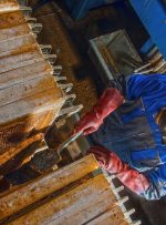 عرضه اولیه «فگستر» با حداقل بیست درصد بازدهی تضمینی در فرابورس ایران