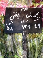 محمدرضا باطنی، در قطعه‌ای غیر از هنرمندان و نام‌آوران به خاک سپرده شد/ عکس